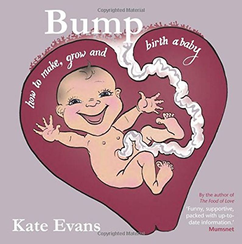 Bump - Evans, Kate