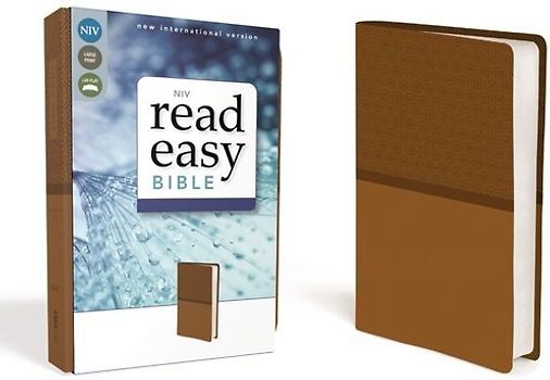 NIV Readeasy Bible