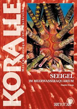 Seeigel im Meerwasseraquarium