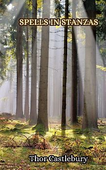 Enigma of Enchantment