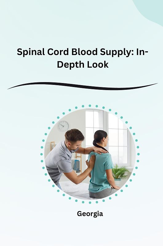Spinal Cord Blood Supply: In-Depth Look