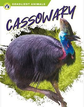Cassowary
