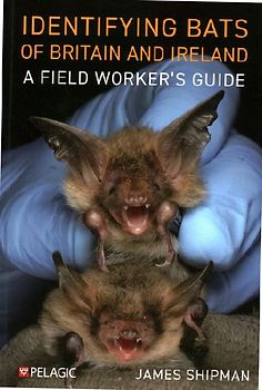 Identifying Bats of Britain and Ireland