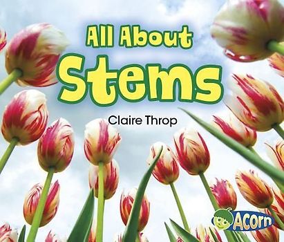 All about Stems