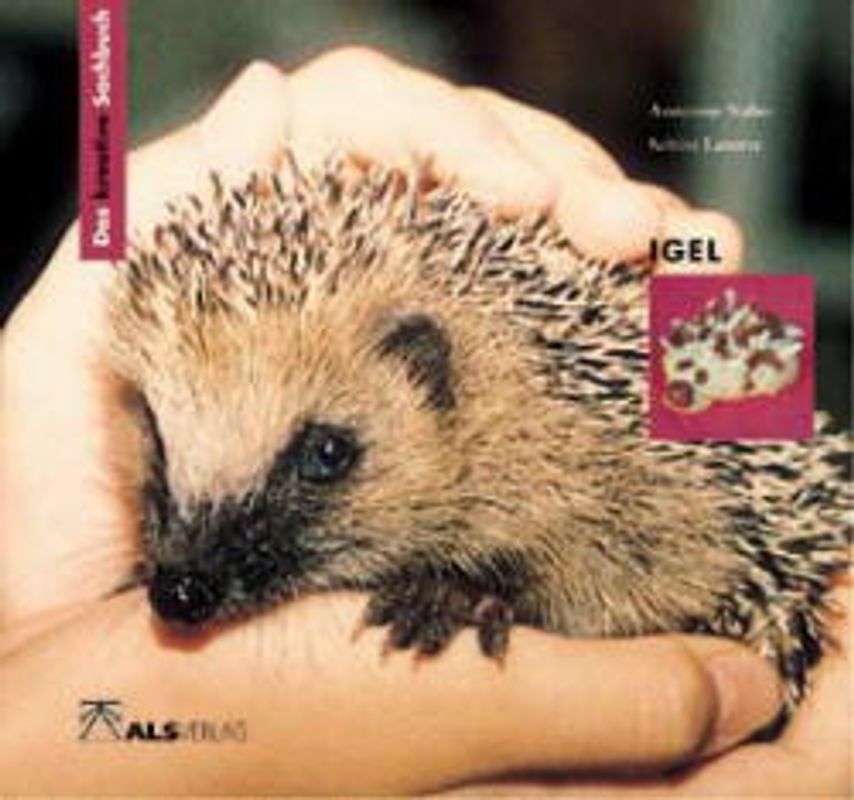 Das kreative Sachbuch "Igel"