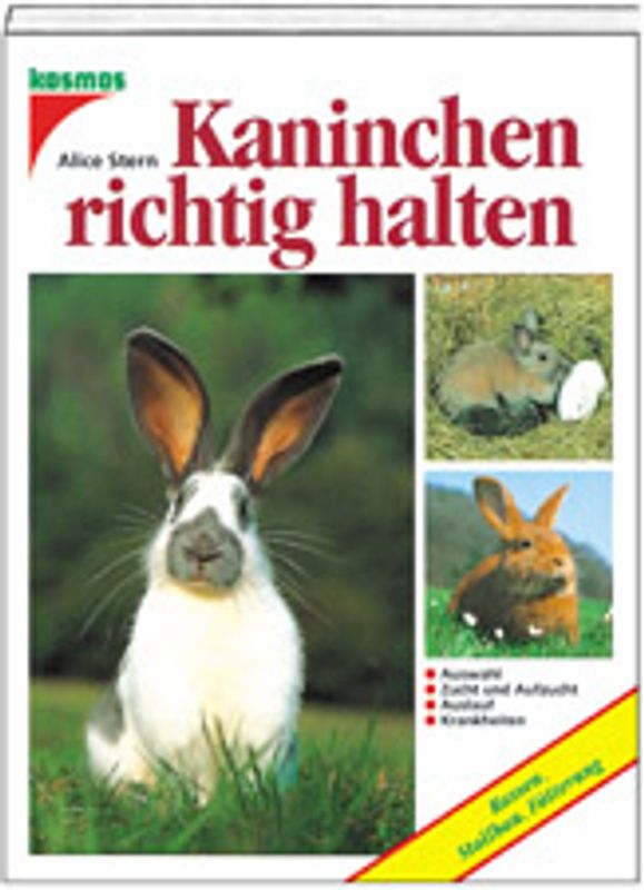 Kaninchen richtig halten