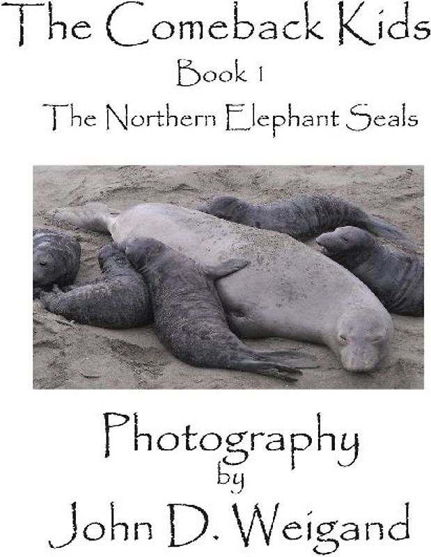 "The Comeback Kids" Book 1, The Northern Elephant Seals