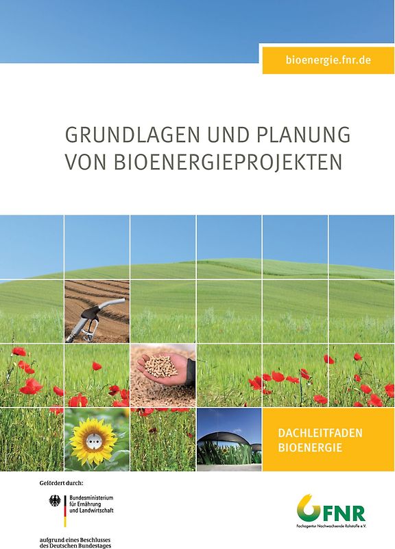 Grundlagen und Planung von Bioenergieprojekten