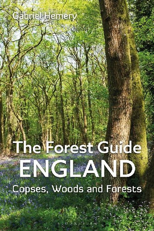 The Forest Guide: England