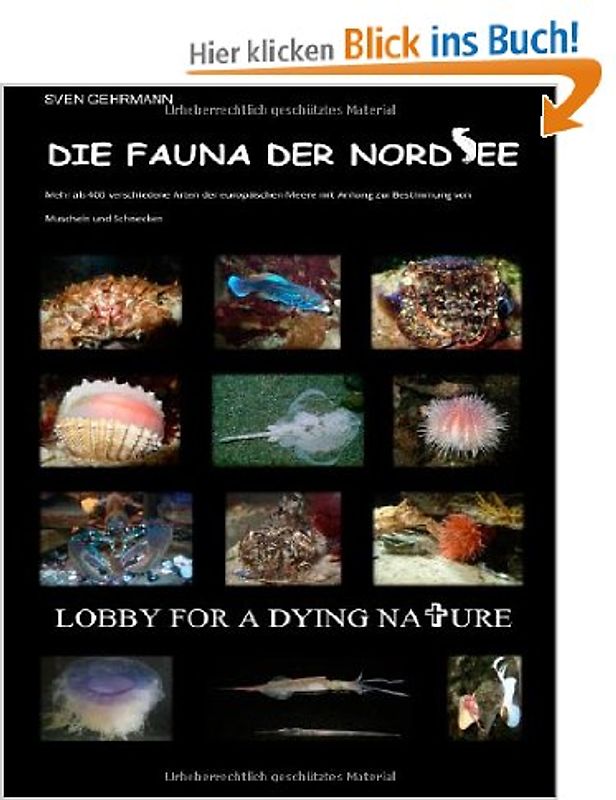 Die Fauna der Nordsee