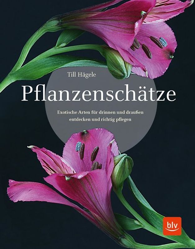 Pflanzenschätze