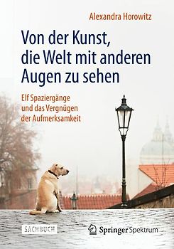 Von der Kunst, die Welt mit anderen Augen zu sehen