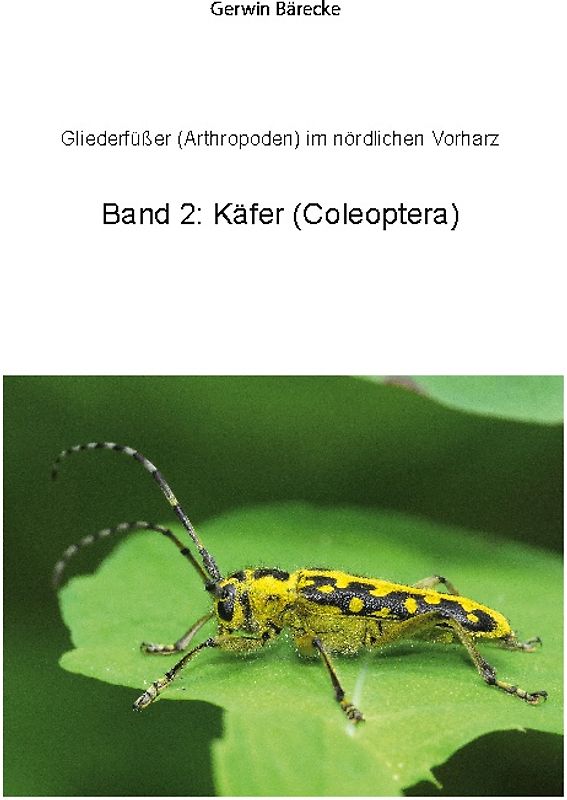 Gliederfüßer (Arthtropoden) in Goslar und Umgebung