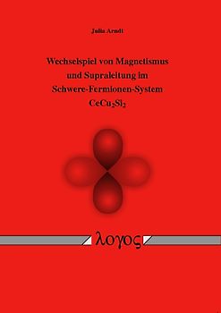 Wechselspiel von Magnetismus und Supraleitung im Schwere-Fermionen-System CeCu2Si2