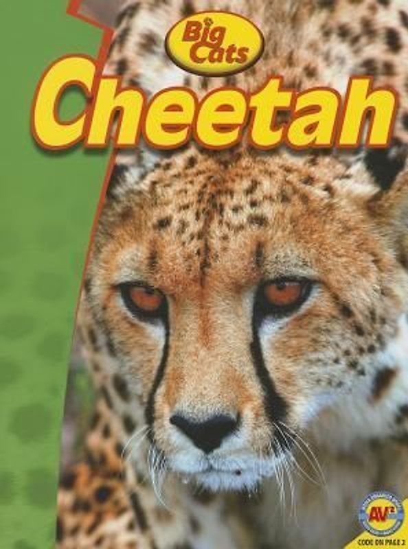 Cheetah