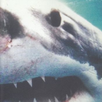 Savas & Sido - Royal Bunker