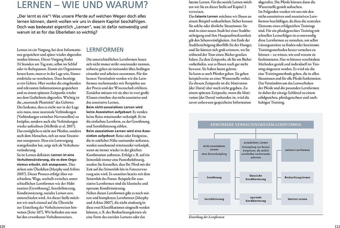Heimkehr in die Fremde. Zu Hause in Israel oder zu Hause in Deutschland?
