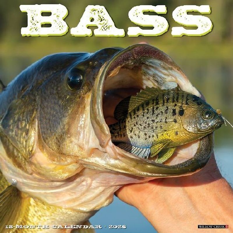 Bass 2026 12 X 12 Wall Calendar