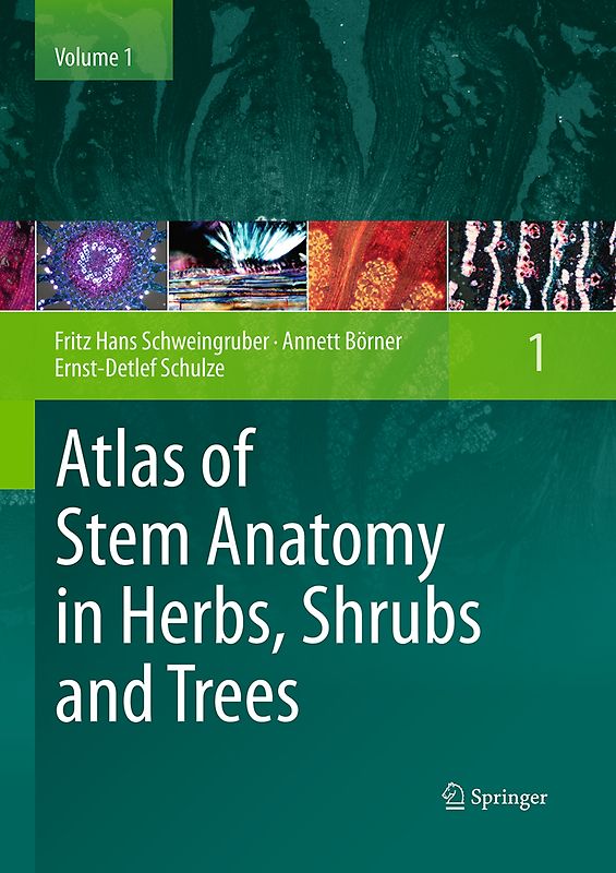 Atlas of Stem Anatomy in Herbs, Shrubs and Trees