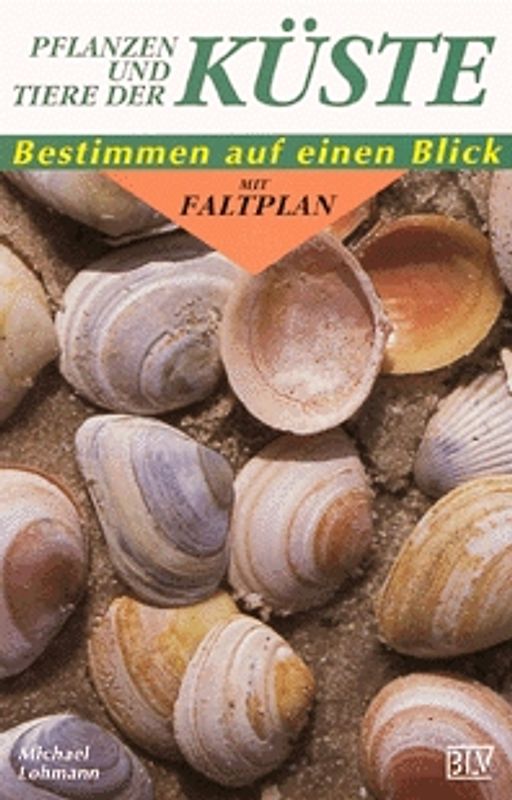 Pflanzen und Tiere der Küste