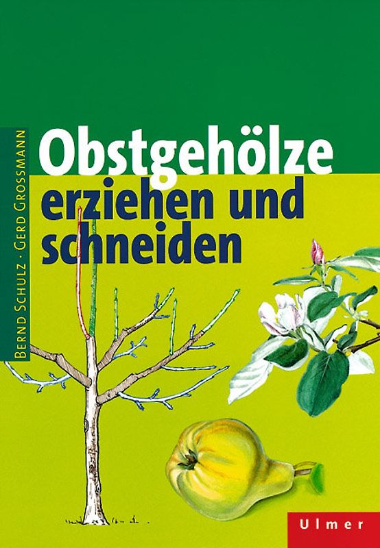 Obstgehölze erziehen und schneiden