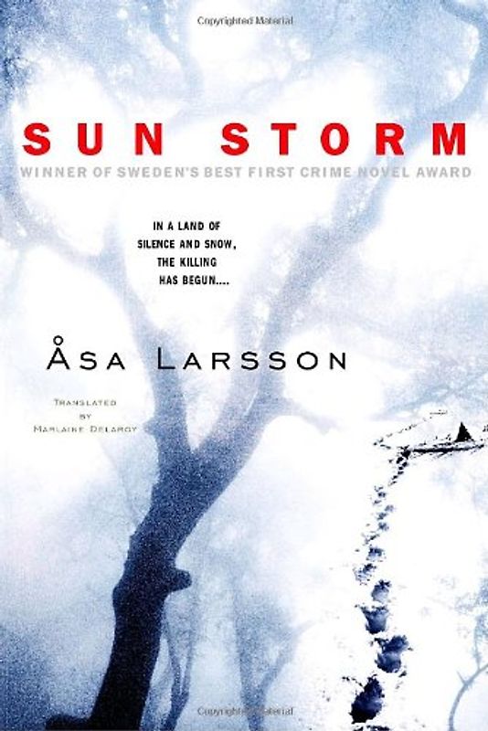 Sun Storm - Larsson, Asa