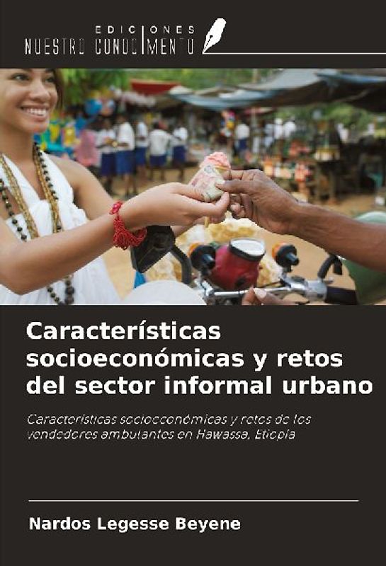 Características socioeconómicas y retos del sector informal urbano