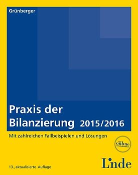 Praxis der Bilanzierung 2015/2016