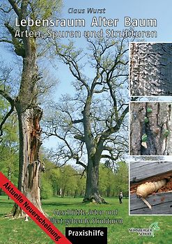 Lebensraum alter Baum