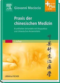 Praxis der chinesischen Medizin