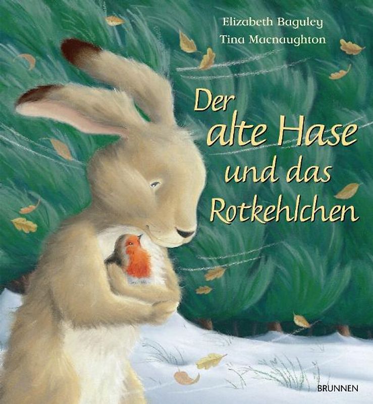Der alte Hase und das Rotkehlchen