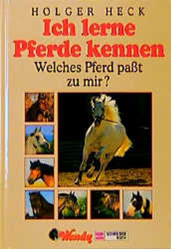 Ich lerne Pferde kennen. Welches Pferd passt zu mir?