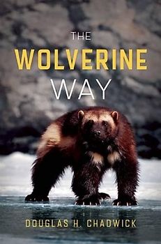 Wolverine Way
