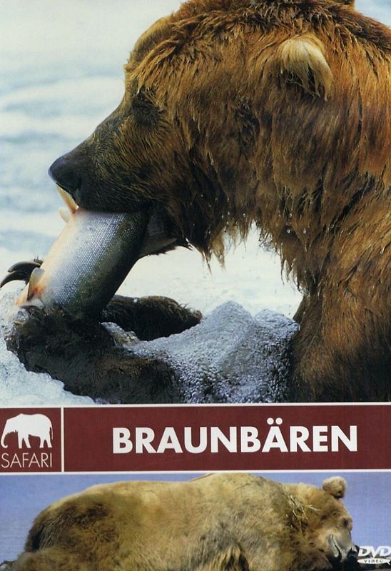 Safari: Braunbären DVD