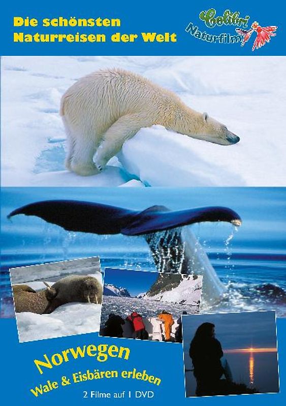 Spitzbergen & Eisbären erleben: Die schönsten Naturreisen der Welt DVD