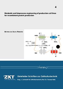 Metabolic and bioprocess engineering of production cell lines for recombinant protein production