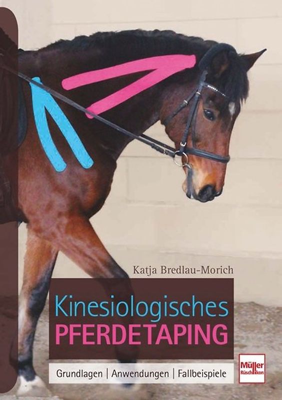 Kinesiologisches Pferdetaping