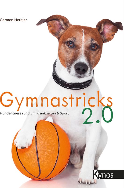 Gymnastricks 2.0