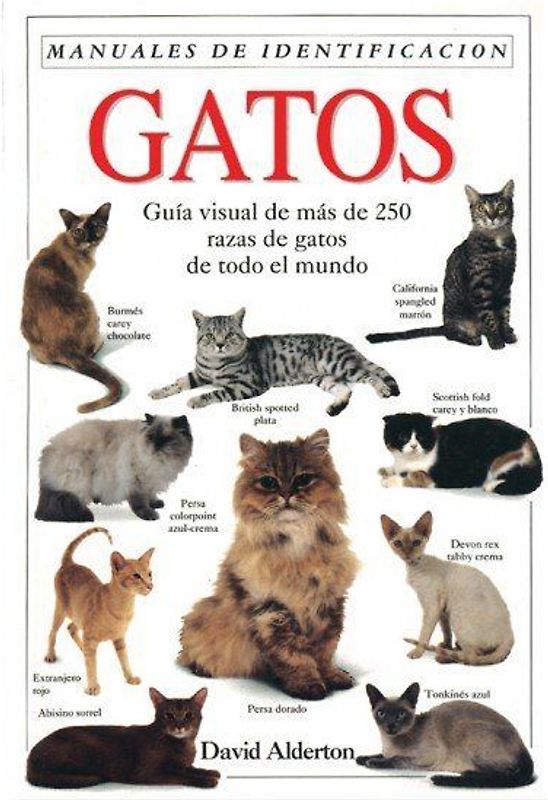 Gatos : una guía visual