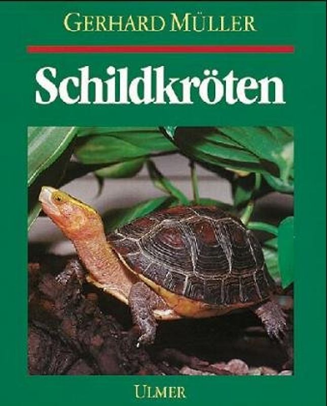 Schildkröten. Land-, Sumpf- und Wasserschildkröten im Terrarium