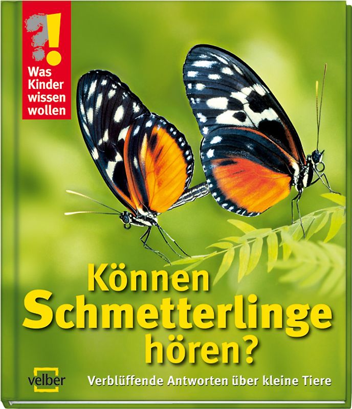 Können Schmetterlinge hören?