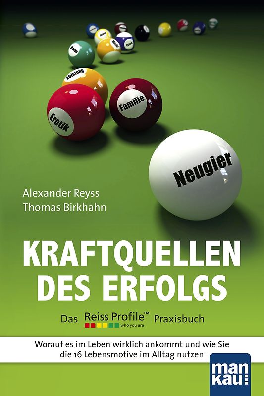 Kraftquellen des Erfolgs - Das Reiss Profile Praxisbuch