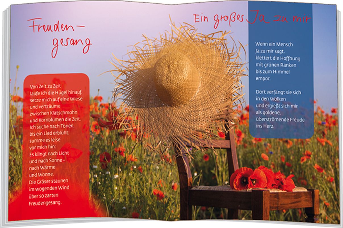 Ich wünsch dir Freude allezeit