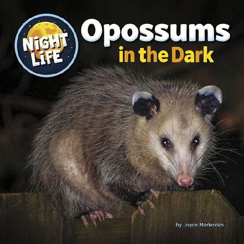 Opossums in the Dark