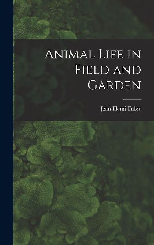 Animal Life in Field and Garden