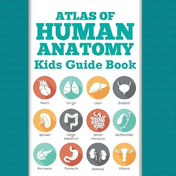 Atlas Of Human Anatomy
