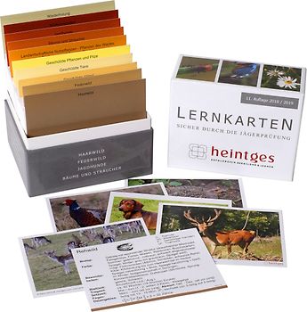 Lernkarten