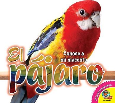 El Pájaro (Bird)