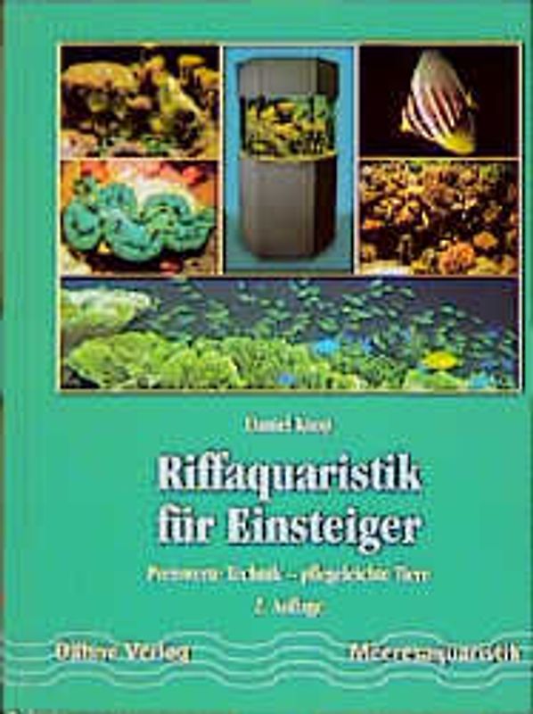 Riffaquaristik für Einsteiger
