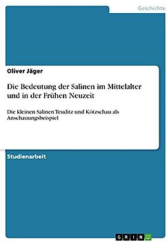 Die Bedeutung der Salinen im Mittelalter und in der Frühen Neuzeit: Die kleinen Salinen Teuditz und Kötzschau als Anschauungsbeispiel